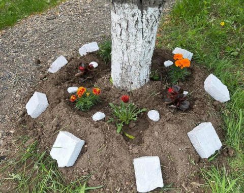 Liceul "Ștefan cel Mare" Codăești 14